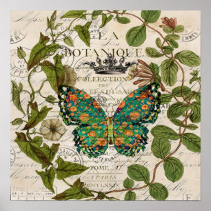Poster écriture bohème papillon botanique français
