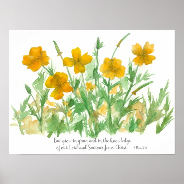 Poster Écriture Pierre 3:18 Bible Verse California Poppy (Devant)