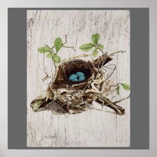 Poster écriture vintage éphémère nid d'oiseau français bo