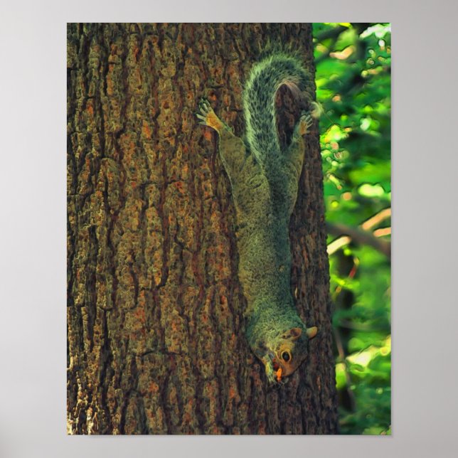 Poster Écureuil avec arachide L'art animal sauvage (Devant)