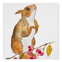 Écureuil d'aquarelle drôle sur une branche avec de