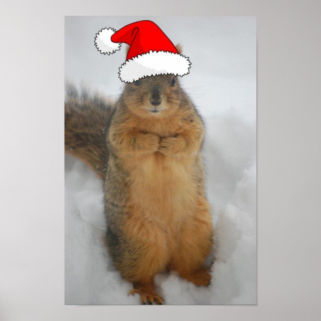 Poster Écureuil de Noël (Devant)