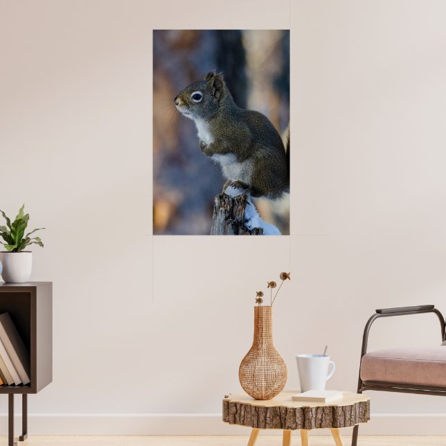 Poster Écureuil d'hiver, animal Brown, photo canadienne (Salon 3)