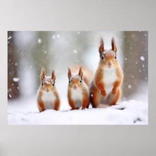 Poster Écureuil Famille d'animaux errants Nature