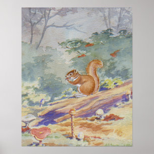 Poster Écureuil rouge 16 X 20 imprimé