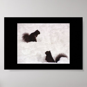 Poster Écureuils dans la neige