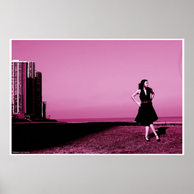 Poster Edgewater beach, ill 2006 (Devant)