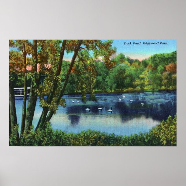 Poster Edgewood Park Vue sur l'étang de canard (Devant)