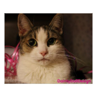 Édition Ruban Rose : Dainty Doll dans un portrait 