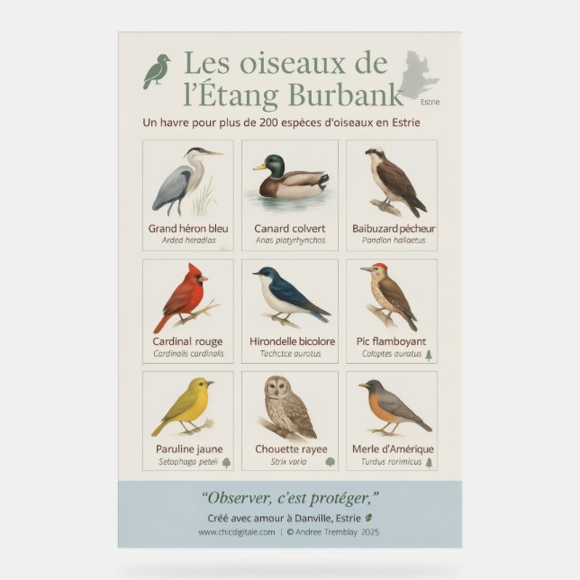 Poster éducatif – Les oiseaux de l’Étang Burbank ( (Recto)