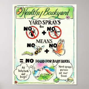 Poster éducatif - No Mosquito Spray!