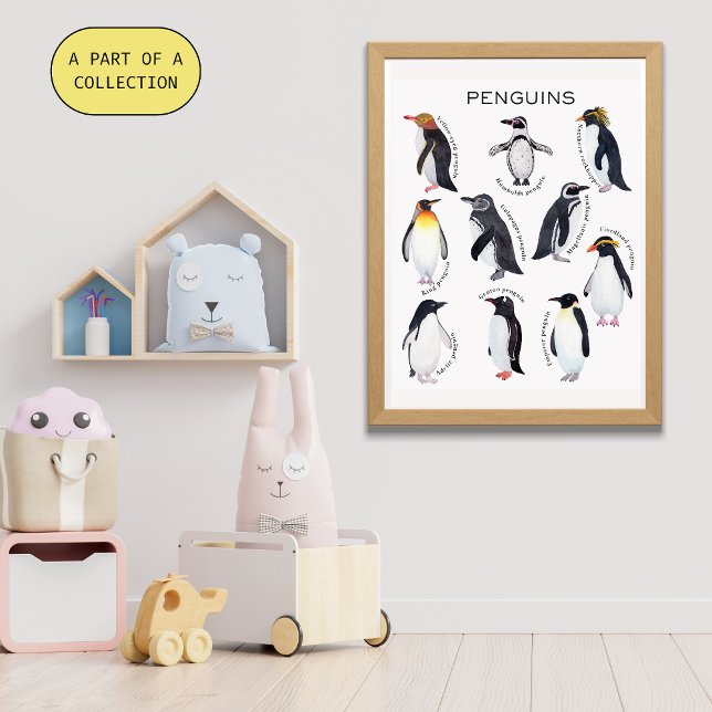 Poster éducatif Penguins (Créateur téléchargé)