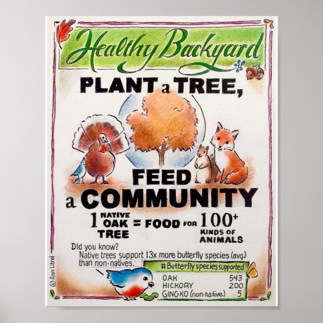 Poster éducatif plante a Tree (Devant)