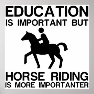 POSTER ÉDUCATION IMPORTANTE IMPORTANTE DU CHEVAL