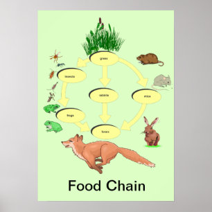 Poster Éducation, Science, Chaîne alimentaire rurale
