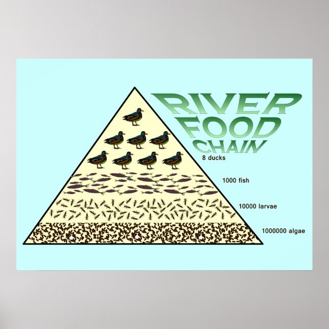 Poster Éducation, Sciences, Chaîne alimentaire fluviale (Devant)