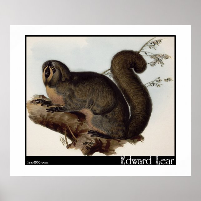 Poster Edward Lear : Whiskered Yarke (Devant)