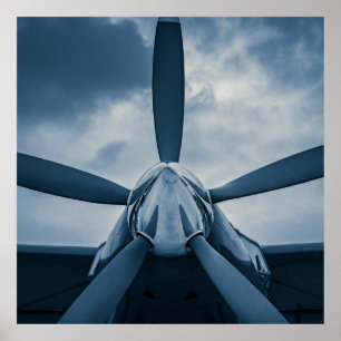 Poster Effacez Prop !