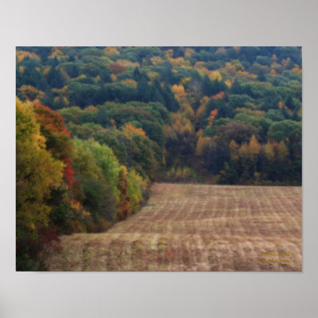 Poster Effet Orton du champ de feuillage d'automne (Devant)