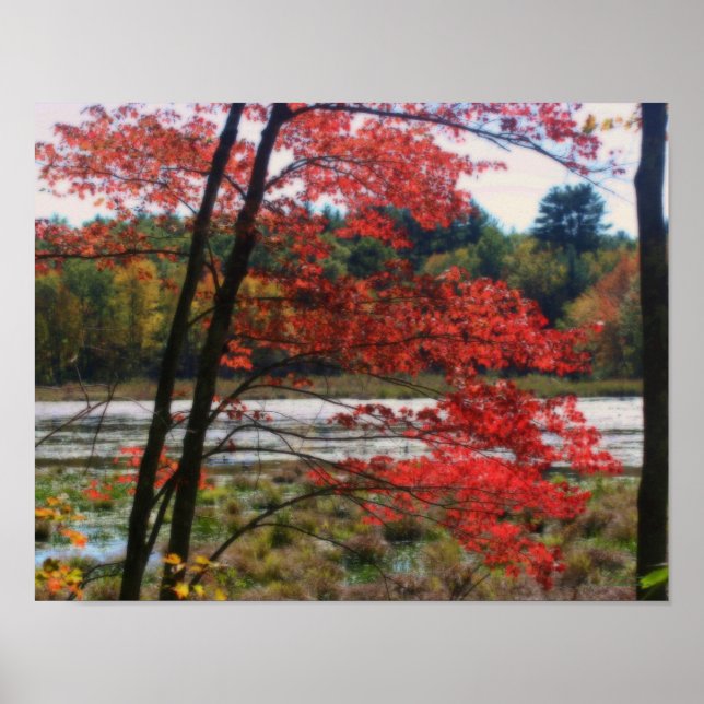 Poster Effet Orton du marais rouge d'automne (Devant)