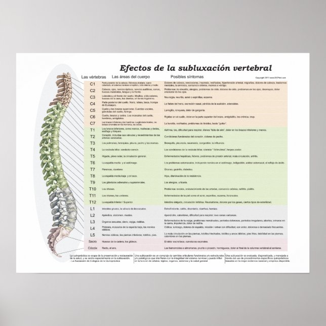 Poster Effets espagnols de la subbluxation spinale Chirop (Devant)