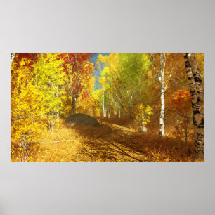 Poster Effondrement de l'impression lumineuse