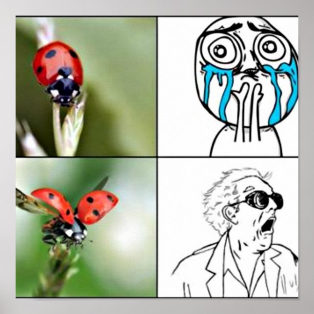 Poster 'effrayé' (Devant)