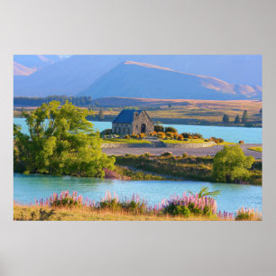 Poster Église du Bon Berger - Lac Tekapo