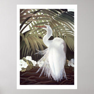 Poster Egret et Palmes
