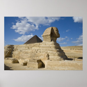 Poster Égypte, Gizeh. Le grand Sphynx s'élève au-dessus d