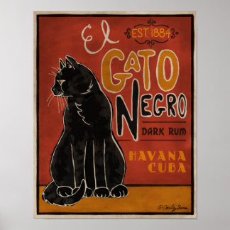 Poster El Gato Negro