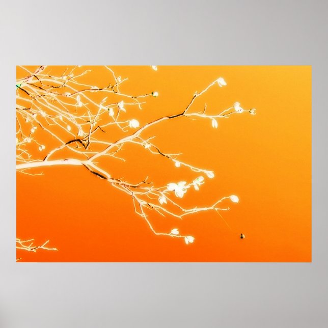 Poster El Paso (Devant)