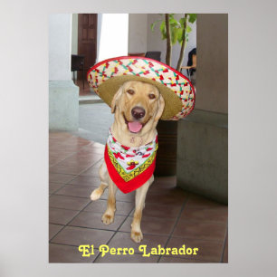 Poster El Perro