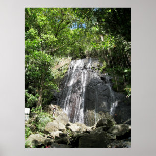 Poster El Yunque Porto Rico photo encadrée