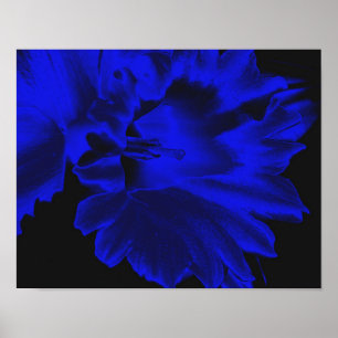 Poster Electric Blue Abstract Daffodil Flower Art