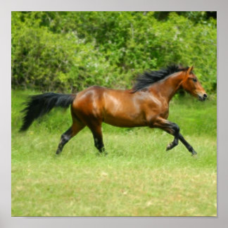 Poster Électricité