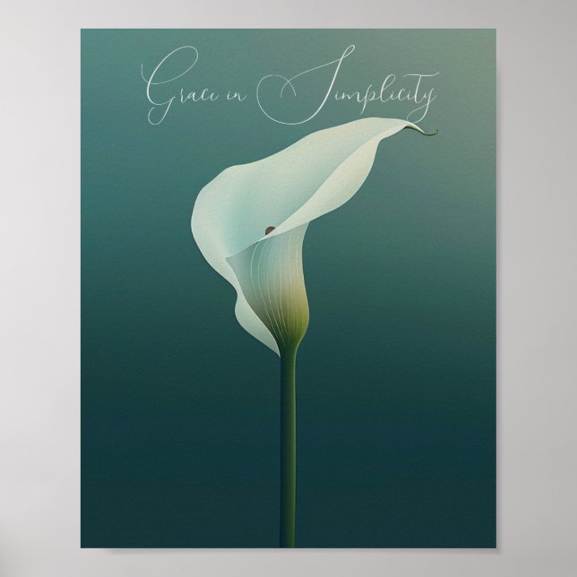 Poster Elégance dans la simplicité : La Calla Lily (Devant)