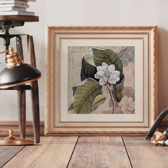 Poster Élégance vintage Magnolia Blossom Shabby (Créateur téléchargé)