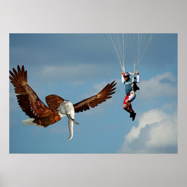 Poster Elégant aigle éléphant (Devant)