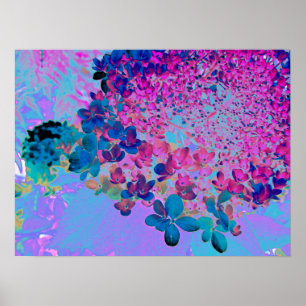 Poster Élégant bleu foncé et lumière magenta Hydrangea