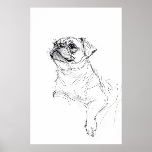Poster Elégant Carlin Portrait Sketch - Premium (Devant)