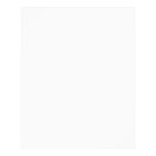 Elegant Chic Gold Brunch et Bubbly Fête des mariée