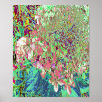 Élégant Corail et Chartreuse Limelight Hydrangea