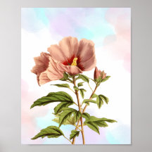 Élégant Hibiscus Fleur Botanique Imprimer
