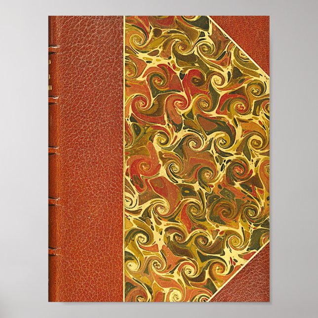 Poster Élégant livre d'antiquités, Motif de swirl orné (Devant)