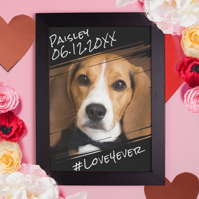 Poster Élégant Moderne Simple Noir Garde Chien  (Créateur téléchargé)