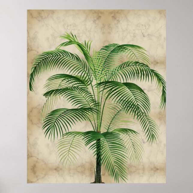 Poster Elégant palmier Marbre Tropical Vintage (Devant)