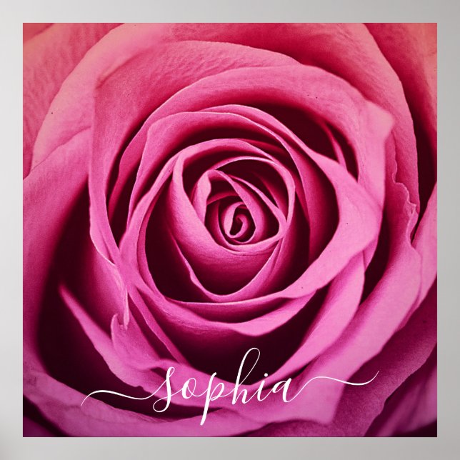 Poster Elegant Rose Rose Flower Photo Ajouter un nom Post (Devant)