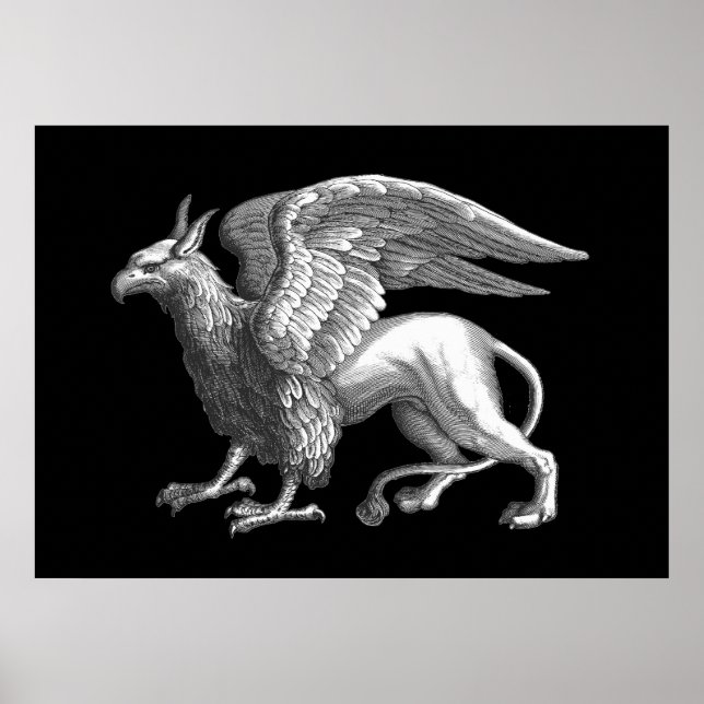 Poster Elégant Silver Grey / Grey Griffin Légendaire Bête (Devant)