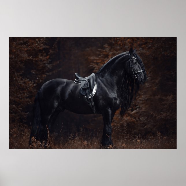 Poster Élégante Dressage Sport Élégant Stallion friésien (Devant)